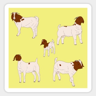 Boer Goats Pattern Yellow Sticker